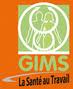 GIMS